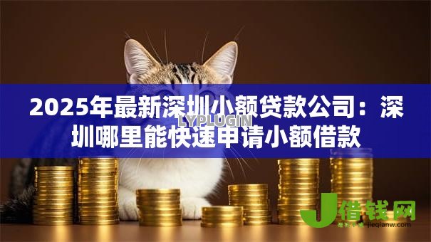 2025年最新深圳小额贷款公司：深圳哪里能快速申请小额借款