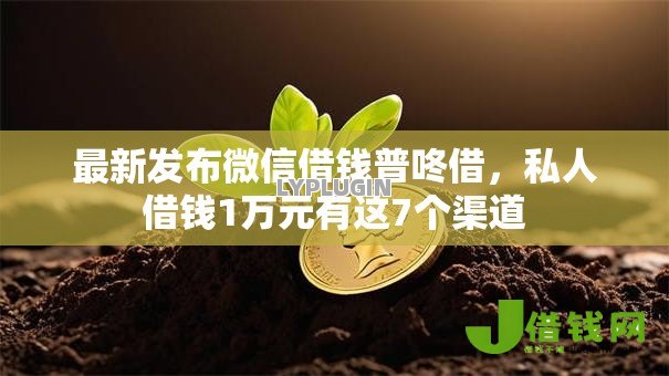 最新发布微信借钱普咚借，私人借钱1万元有这7个渠道