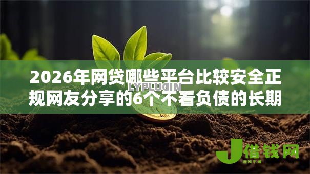2026年网贷哪些平台比较安全正规网友分享的6个不看负债的长期网贷软件我觉得不错! 2026年网贷哪些平台比较安全正规网友分享的6个不看负债的长期网贷软件我觉得不错!