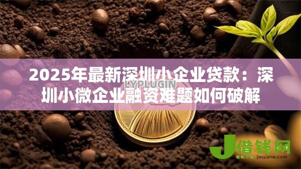 2025年最新深圳小企业贷款：深圳小微企业融资难题如何破解