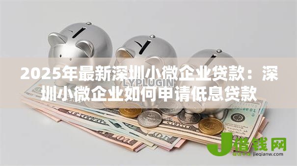 2025年最新深圳小微企业贷款：深圳小微企业如何申请低息贷款