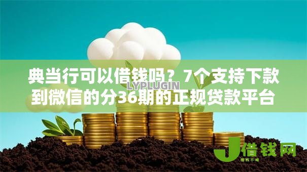 典当行可以借钱吗？7个支持下款到微信的分36期的正规贷款平台