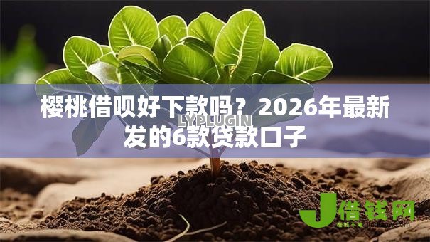 樱桃借呗好下款吗？2026年最新发的6款贷款口子