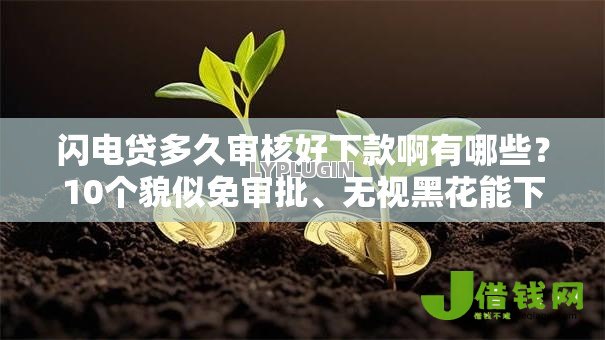 闪电贷多久审核好下款啊有哪些？10个貌似免审批、无视黑花能下款一万元口子合集