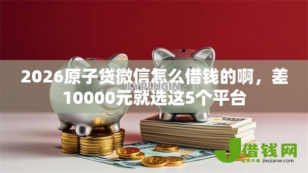 2026原子贷微信怎么借钱的啊，差10000元就选这5个平台