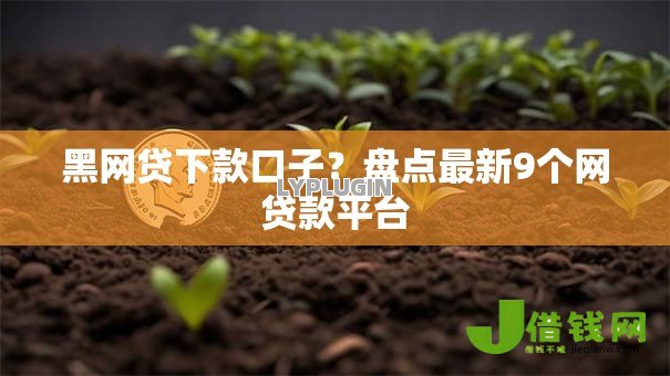 黑网贷下款口子？盘点最新9个网贷款平台