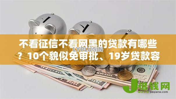 不看征信不看网黑的贷款有哪些？10个貌似免审批、19岁贷款容易过审批的口子合集