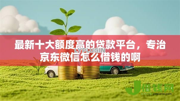 最新十大额度高的贷款平台，专治京东微信怎么借钱的啊