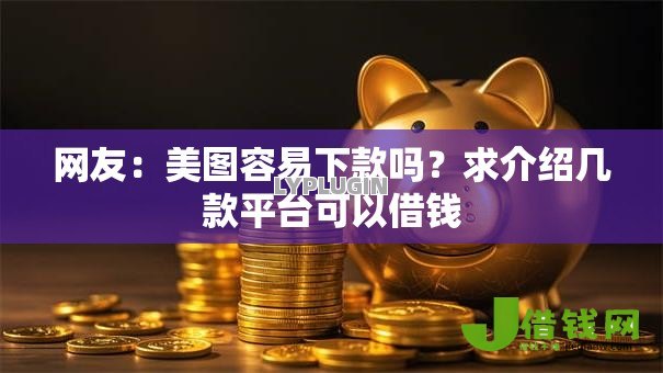 网友：美图容易下款吗？求介绍几款平台可以借钱