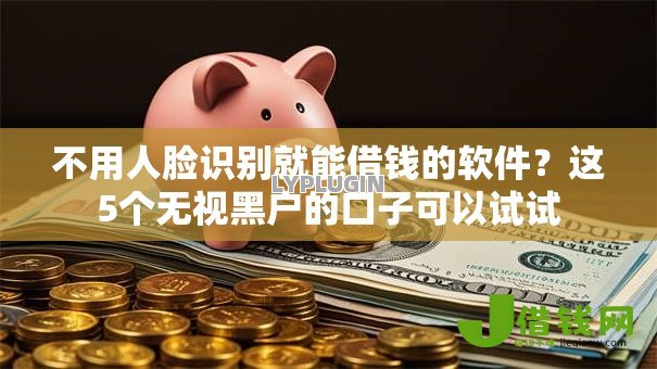 不用人脸识别就能借钱的软件？这5个无视黑户的口子可以试试
