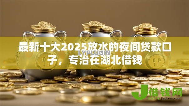 最新十大2025放水的夜间贷款口子，专治在湖北借钱