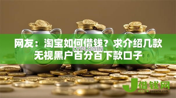 网友：淘宝如何借钱？求介绍几款无视黑户百分百下款口子