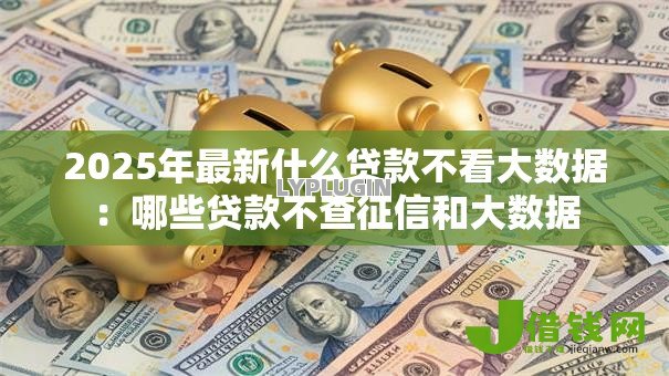 2025年最新什么贷款不看大数据:哪些贷款不查征信和大数据 2025年最新什么贷款不看大数据:哪些贷款不查征信和大数据