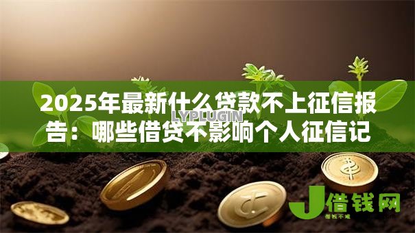 2025年最新什么贷款不上征信报告：哪些借贷不影响个人征信记录