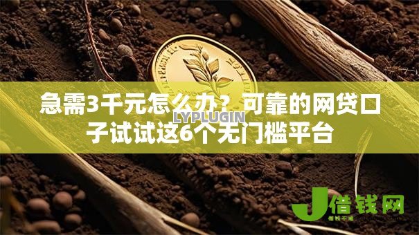 急需3千元怎么办?可靠的网贷口子试试这6个无门槛平台 急需3千元怎么办?可靠的网贷口子试试这6个无门槛平台