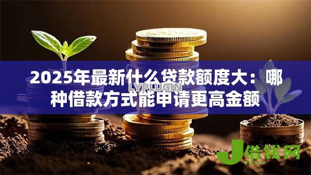 2025年最新什么贷款额度大：哪种借款方式能申请更高金额