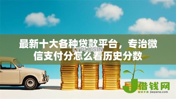 最新十大各种贷款平台，专治微信支付分怎么看历史分数