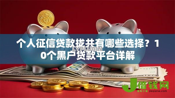 个人征信贷款拢共有哪些选择？10个黑户贷款平台详解