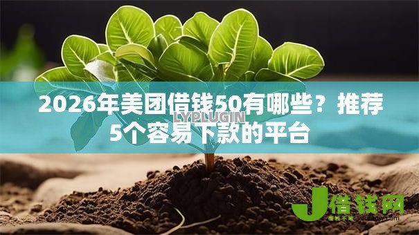2026年美团借钱50有哪些？推荐5个容易下款的平台