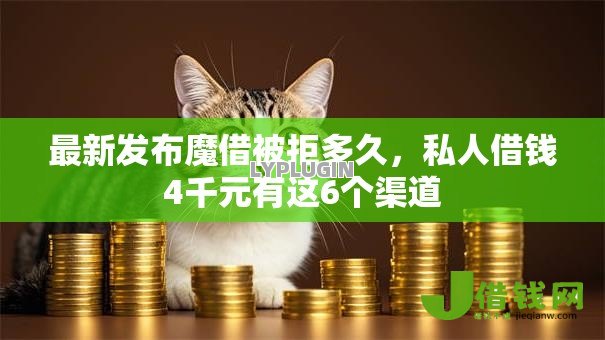 最新发布魔借被拒多久，私人借钱4千元有这6个渠道