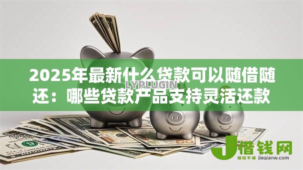 2025年最新什么贷款可以随借随还：哪些贷款产品支持灵活还款