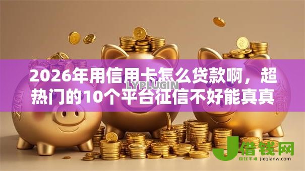 2026年用信用卡怎么贷款啊，超热门的10个平台征信不好能真真正正借到钱推荐