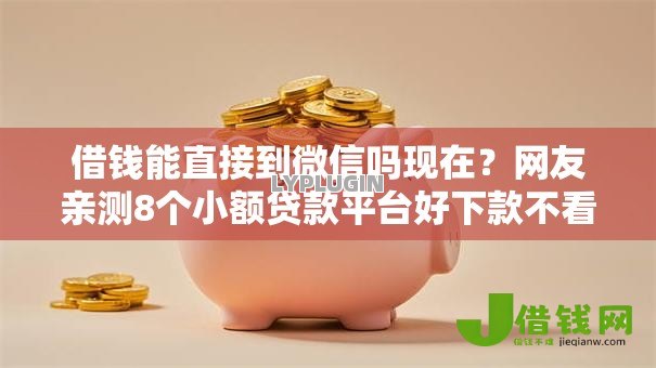 借钱能直接到微信吗现在？网友亲测8个小额贷款平台好下款不看征信盘点
