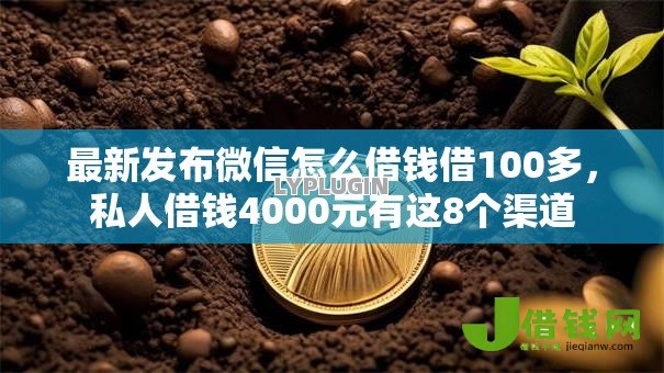 最新发布微信怎么借钱借100多，私人借钱4000元有这8个渠道