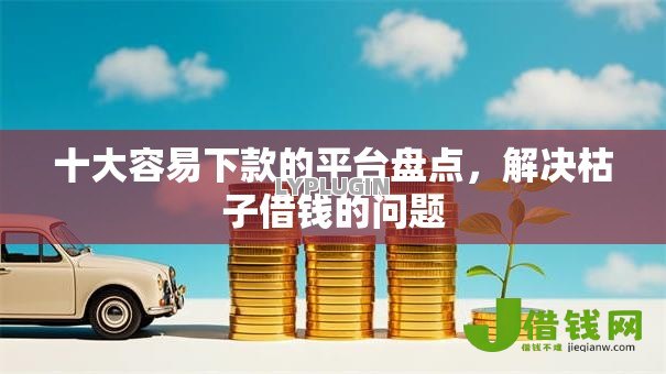十大容易下款的平台盘点，解决枯子借钱的问题