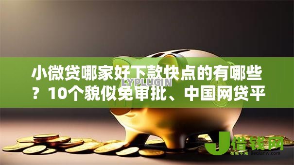 小微贷哪家好下款快点的有哪些？10个貌似免审批、中国网贷平台排名不分先后合集