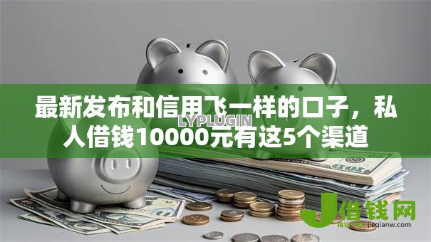 最新发布和信用飞一样的口子，私人借钱10000元有这5个渠道