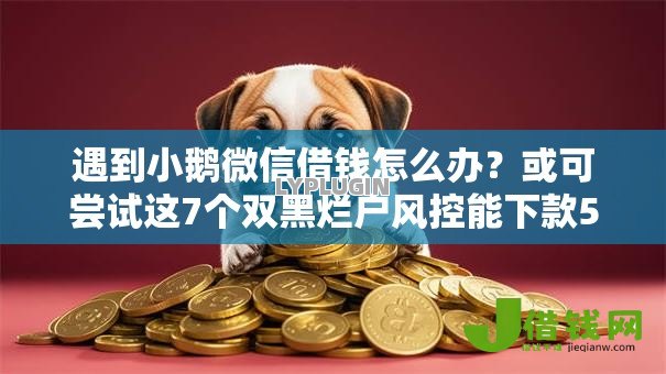 遇到小鹅微信借钱怎么办?或可尝试这7个双黑烂户风控能下款5000口子 遇到小鹅微信借钱怎么办?或可尝试这7个双黑烂户风控能下款5000口子