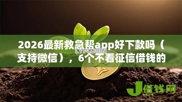 2026最新救急帮app好下款吗（支持微信），6个不看征信借钱的平台100%能借到无私分享
