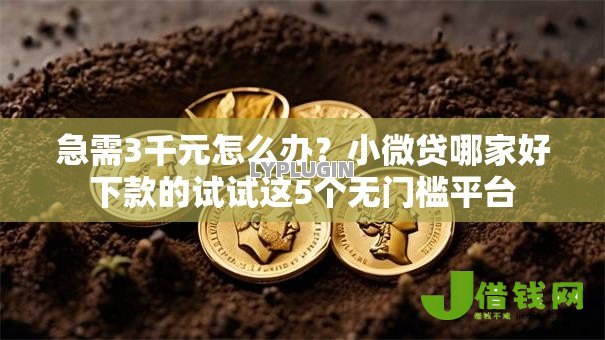 急需3千元怎么办？小微贷哪家好下款的试试这5个无门槛平台
