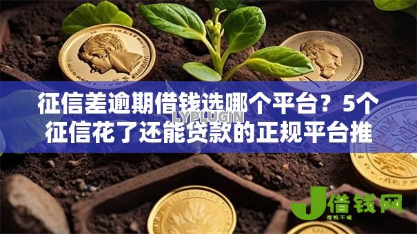 征信差逾期借钱选哪个平台?5个征信花了还能贷款的正规平台推荐 征信差逾期借钱选哪个平台?5个征信花了还能贷款的正规平台推荐