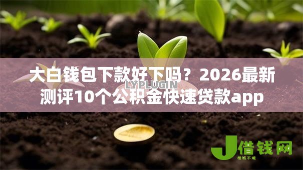 大白钱包下款好下吗？2026最新测评10个公积金快速贷款app