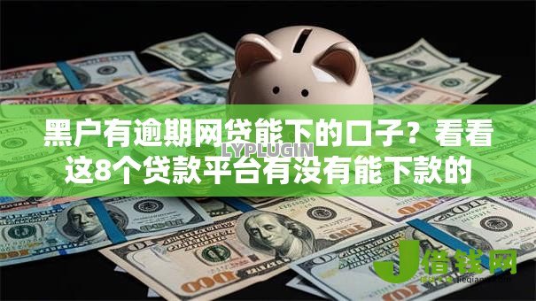 黑户有逾期网贷能下的口子？看看这8个贷款平台有没有能下款的