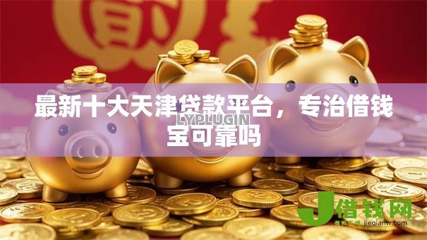 最新十大天津贷款平台，专治借钱宝可靠吗