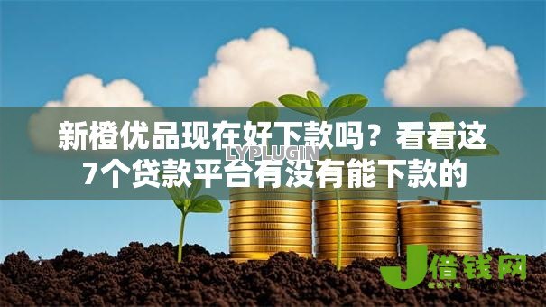 新橙优品现在好下款吗？看看这7个贷款平台有没有能下款的