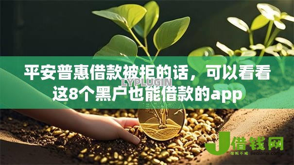 平安普惠借款被拒的话,可以看看这8个黑户也能借款的app 平安普惠借款被拒的话,可以看看这8个黑户也能借款的app