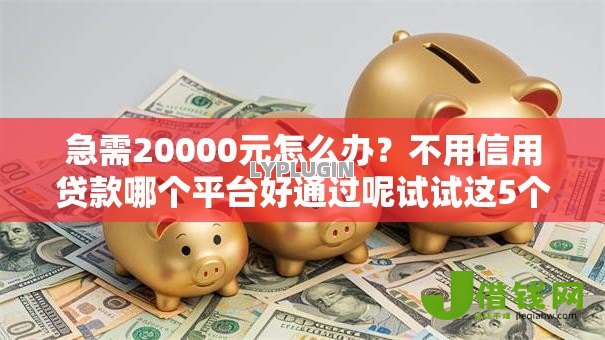 急需20000元怎么办?不用信用贷款哪个平台好通过呢试试这5个无门槛平台 急需20000元怎么办?不用信用贷款哪个平台好通过呢试试这5个无门槛平台