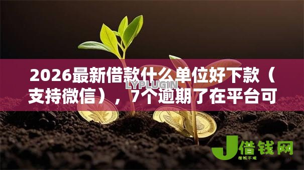 2026最新借款什么单位好下款(支持微信),7个逾期了在平台可以借到钱无私分享 2026最新借款什么单位好下款(支持微信),7个逾期了在平台可以借到钱无私分享