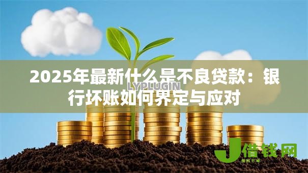 2025年最新什么是不良贷款：银行坏账如何界定与应对