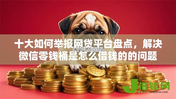 十大如何举报网贷平台盘点，解决微信零钱桶是怎么借钱的的问题