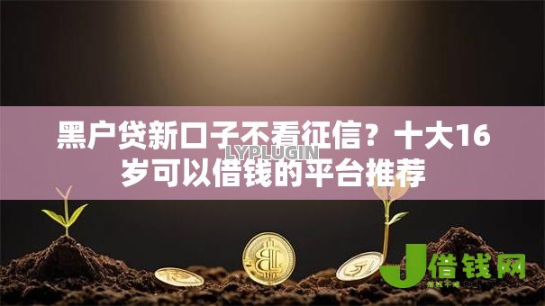 黑户贷新口子不看征信?十大16岁可以借钱的平台推荐 黑户贷新口子不看征信?十大16岁可以借钱的平台推荐