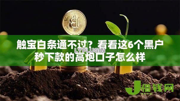 触宝白条通不过？看看这6个黑户秒下款的高炮口子怎么样
