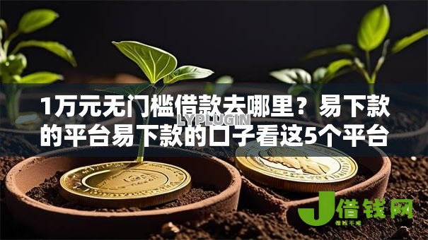 1万元无门槛借款去哪里？易下款的平台易下款的口子看这5个平台