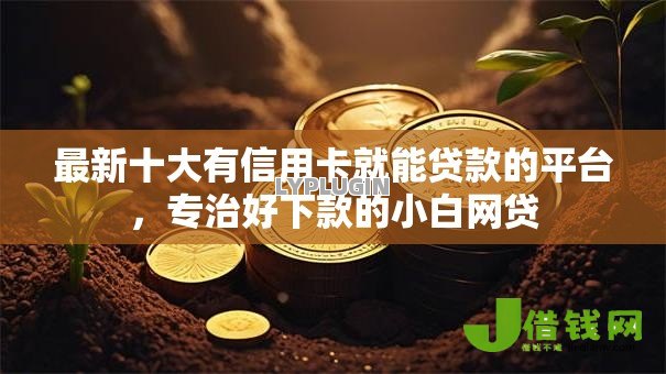 最新十大有信用卡就能贷款的平台，专治好下款的小白网贷