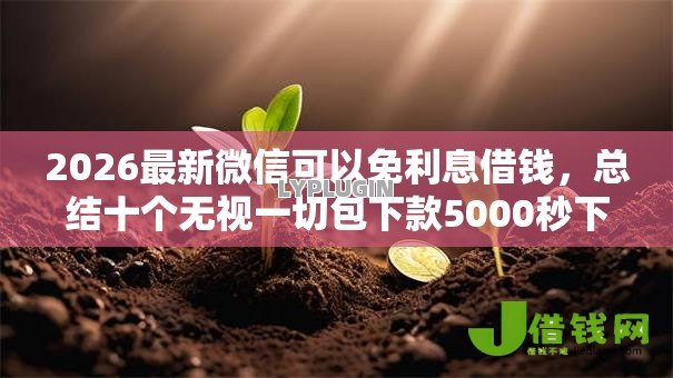 2026最新微信可以免利息借钱,总结十个无视一切包下款5000秒下款的平台! 2026最新微信可以免利息借钱,总结十个无视一切包下款5000秒下款的平台!