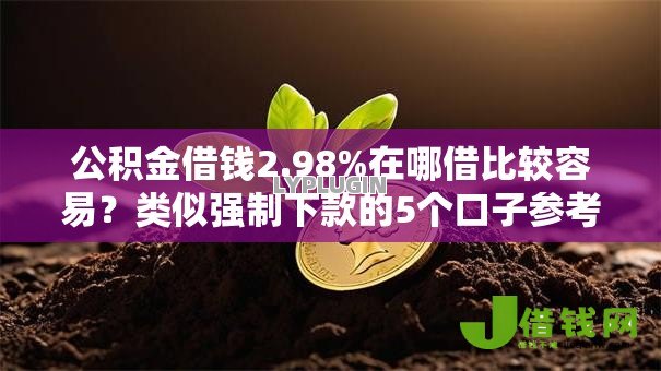 公积金借钱2.98%在哪借比较容易？类似强制下款的5个口子参考